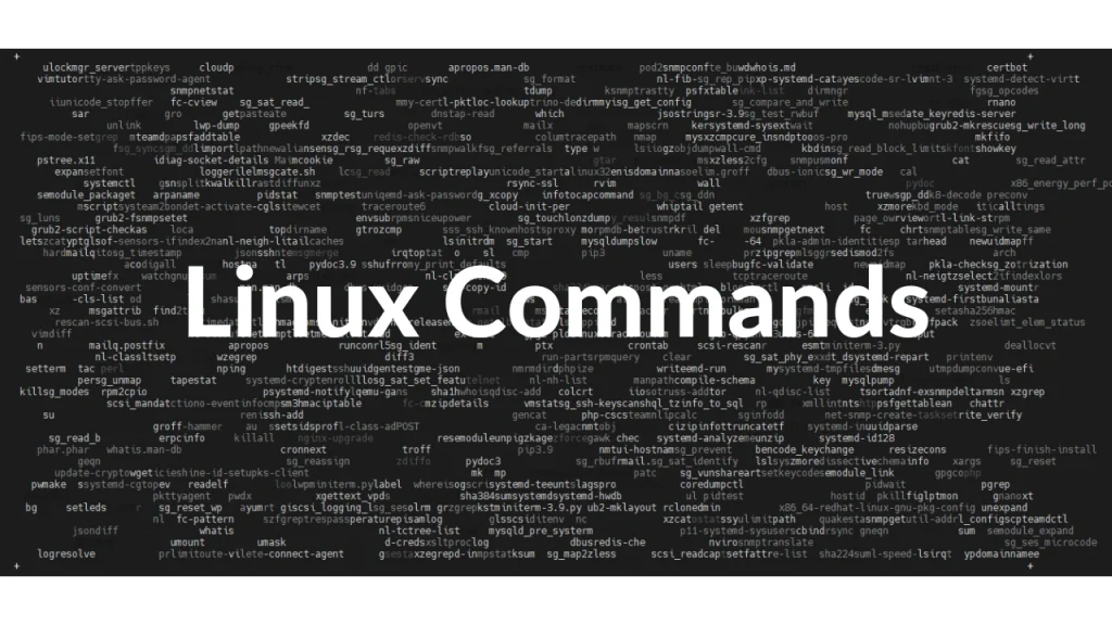 Basic Shell Commands