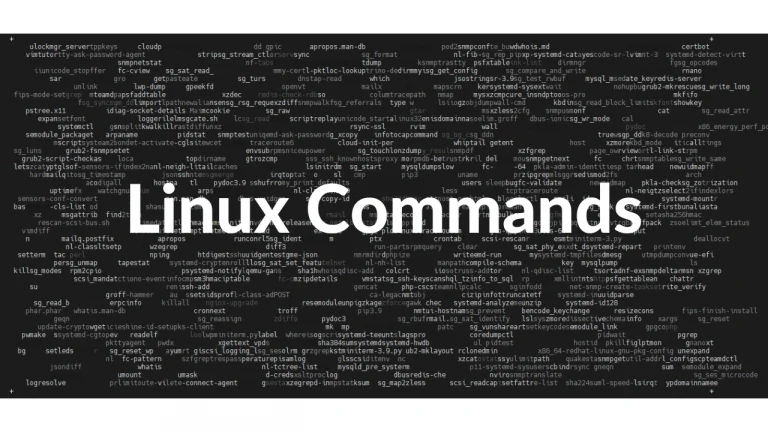 Basic Shell Commands