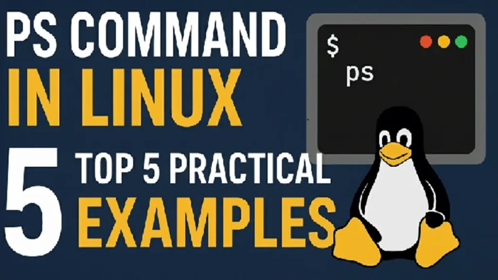 Top 5 ps command tips and tricks in Linux.