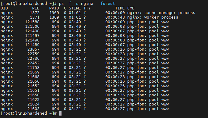 ps command in Linux showing CPU and memory usage
